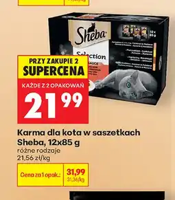 Biedronka Karma dla kota w saszetkach Sheba 12-pak oferta