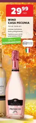 Stokrotka Wino białe Casa Pecunia półwytrawne oferta