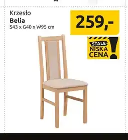 Black Red White Krzesło Belia oferta