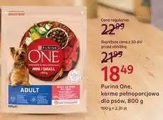 Rossmann Purina One karma pełnoporcjowa dla psów oferta