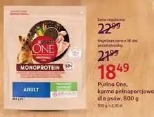 Rossmann Purina One Monoprotein karma pełnoporcjowa dla psów oferta