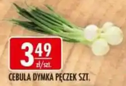 Sklepy Doroty Cebula Dymka Pęczek oferta