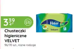 Eurocash Cash & Carry Chusteczki higieniczne Velvet oferta
