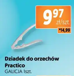 Jubilat Dziadek do orzechów Practico GALICJA oferta