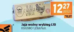 Jubilat Jaja wolny wybieg L10 oferta