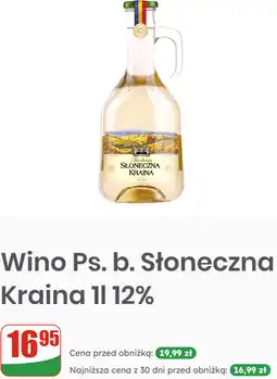 Dino Wino Ps. b. Słoneczna Kraina 1l 12% oferta