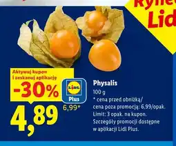 Lidl Physalis Rynek Lidla oferta