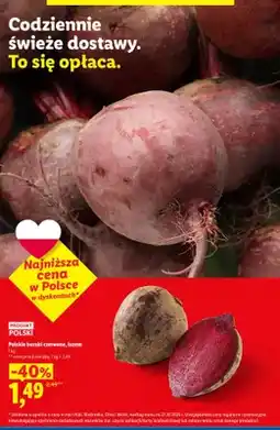 Lidl Buraki czerwone polskie oferta