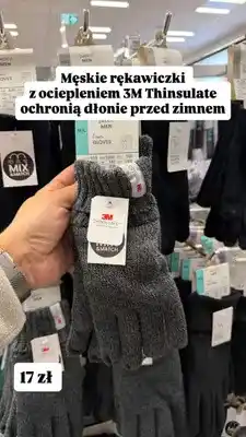 Pepco Rękawiczki męskie Pepco 3 m Thinsulate oferta