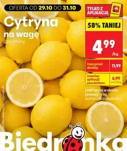 Biedronka Cytryny na wagę oferta