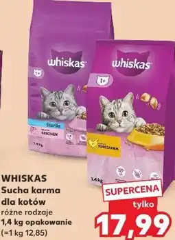 Kaufland Whiskas Sucha karma dla kotów różne rodzaje oferta