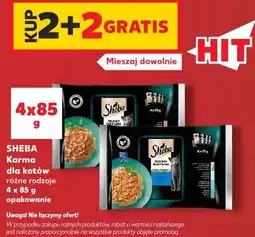 Kaufland Sheba Karma dla kotów różne rodzaje oferta
