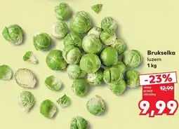 Kaufland Brukselka luzem oferta