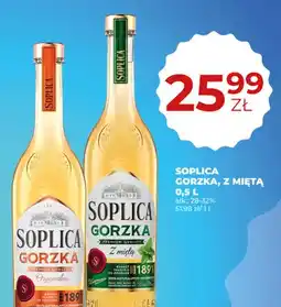 Duży Ben Soplica Gorzka oferta