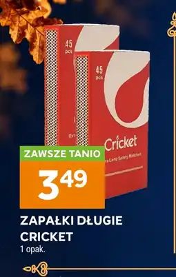 Stokrotka Zapałki oferta