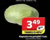 Delfin Kapusta na gołąbki oferta