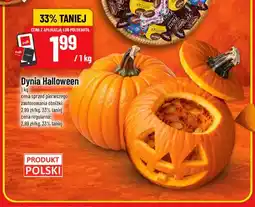 Polomarket Dynia Halloween oferta