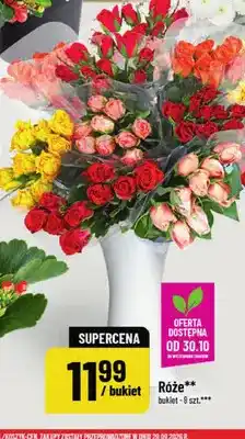 Polomarket Róże bukiet 9-pak oferta