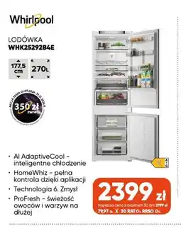 Max Elektro Lodówka Whirlpool WHK25292B4E oferta