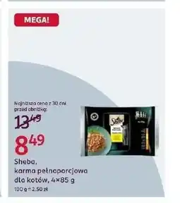 Rossmann Karma dla kota Sheba oferta