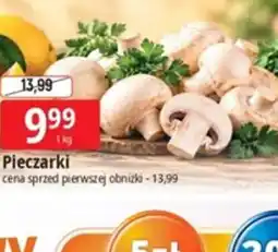 E.Leclerc Pieczarki oferta