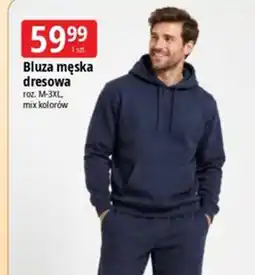 E.Leclerc Bluza męska dresowa oferta