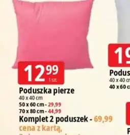 E.Leclerc Poduszka pierze oferta