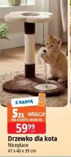 E.Leclerc Drzewko dla kota Niceplace oferta