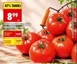 Biedronka Pomidor malinowy polski oferta