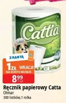 E.Leclerc Ręcznik papierowy Cattia oferta