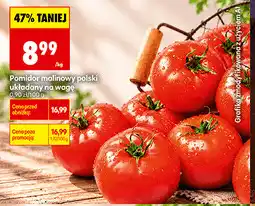 Biedronka Pomidor malinowy polski układany na wagę oferta