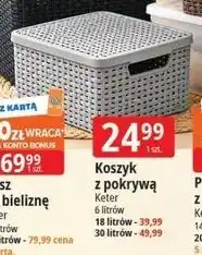 E.Leclerc Koszyk z pokrywą Keter oferta