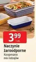 E.Leclerc Naczynie żaroodporne Koopmann oferta