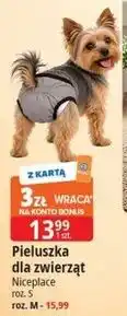 E.Leclerc Pieluszka dla zwierząt Niceplace oferta