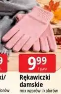 E.Leclerc Rękawiczki damskie oferta