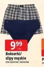 E.Leclerc Bokserki/ slipy męskie oferta