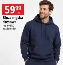 E.Leclerc Bluza męska dresowa oferta