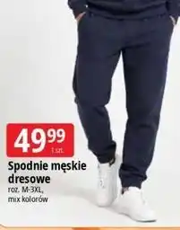 E.Leclerc Spodnie męskie dresowe oferta