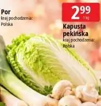 E.Leclerc Kapusta pekińska oferta
