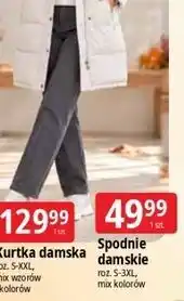 E.Leclerc Spodnie damskie oferta