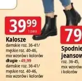 E.Leclerc Kalosze damskie, męskie oferta