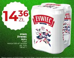 Duży Ben Piwo Żywiec 4-pak oferta