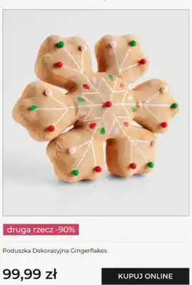 Poduszka dekoracyjna Gingerflakes Home & You