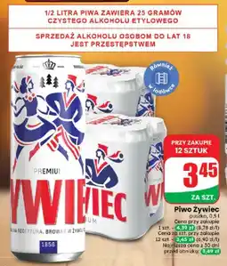 Dino Piwo Żywiec oferta