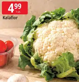 E.Leclerc Kalafior oferta