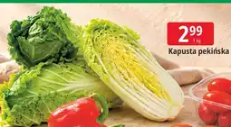 E.Leclerc Kapusta pekińska oferta