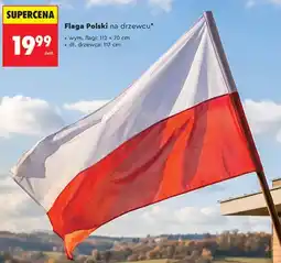 Biedronka Flaga Polski na drzewcu oferta