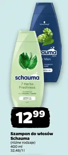 Netto Szampon do włosów Schauma oferta