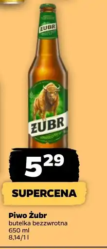 Netto Piwo Żubr oferta