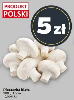 Netto Pieczarka biała oferta
